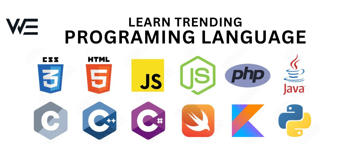 learn programing language by wise experts